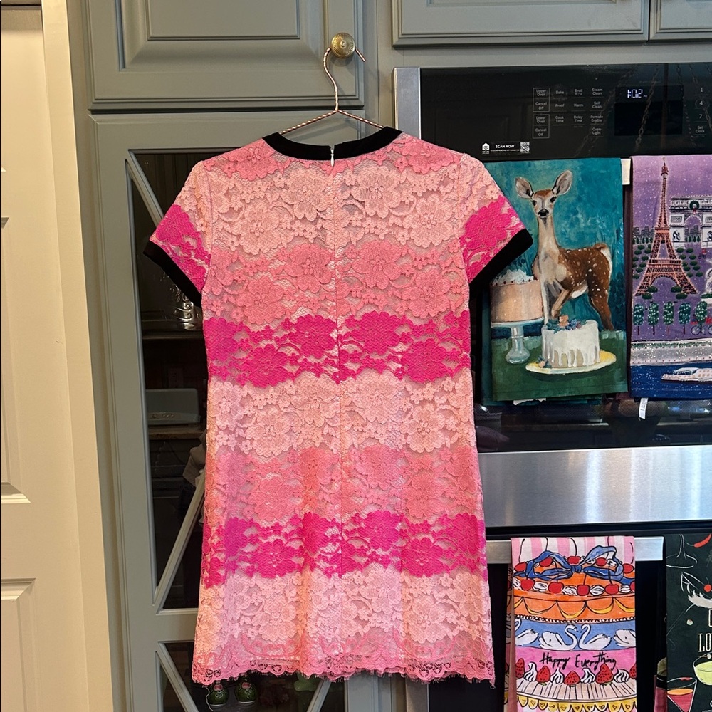 CeCe Pink and Black Lace Dress - Picture 5 of 5
